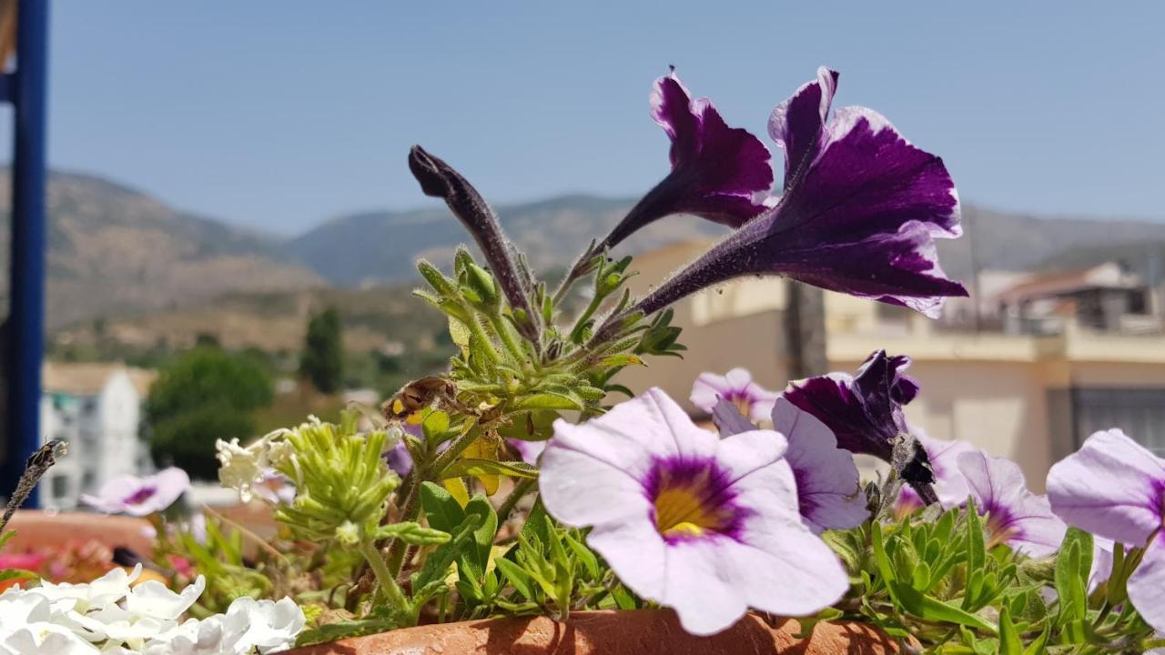 Posada Alpujarra Sol Órgiva Kültér fotó