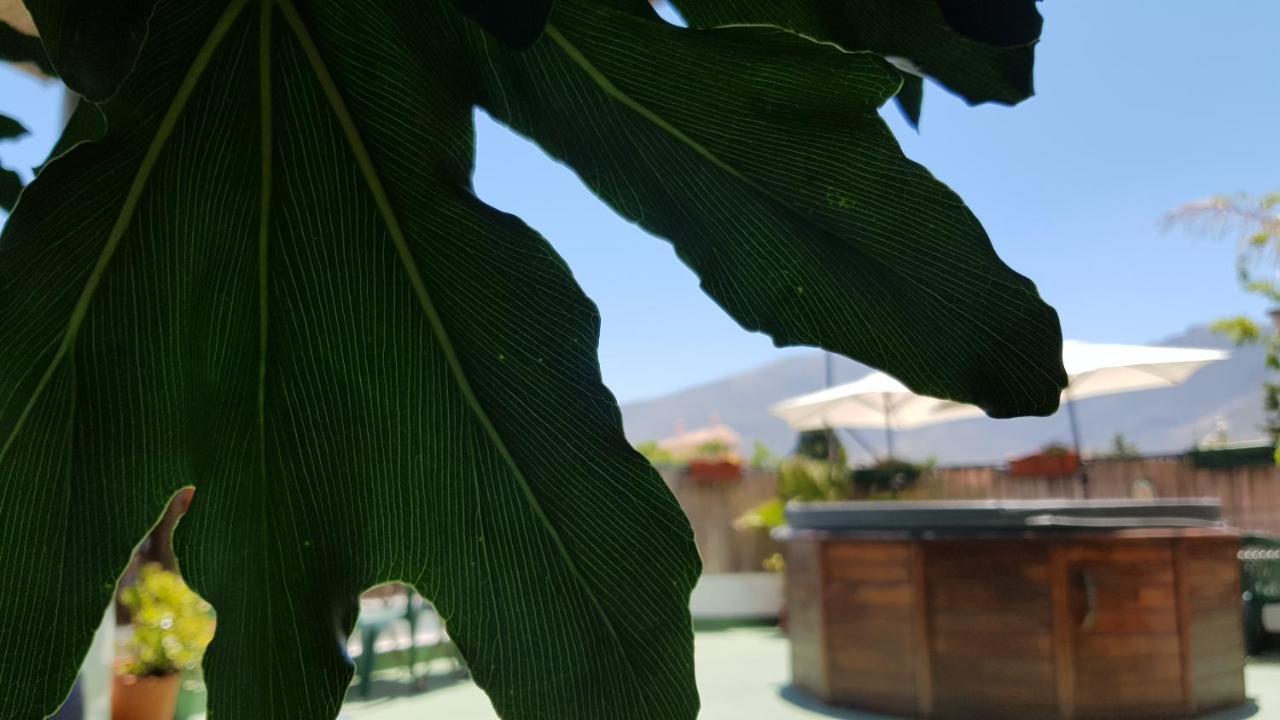 Posada Alpujarra Sol Órgiva Kültér fotó