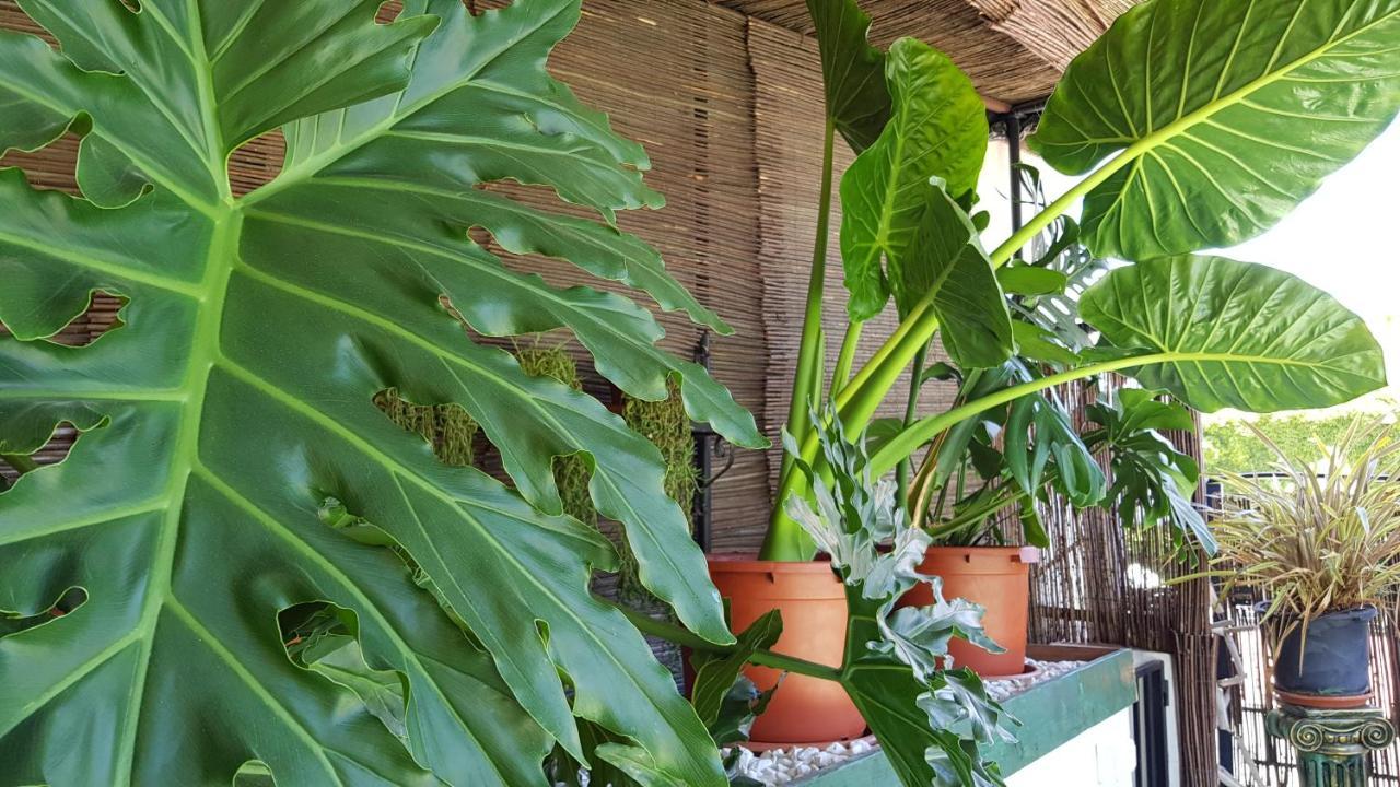 Posada Alpujarra Sol Órgiva Kültér fotó